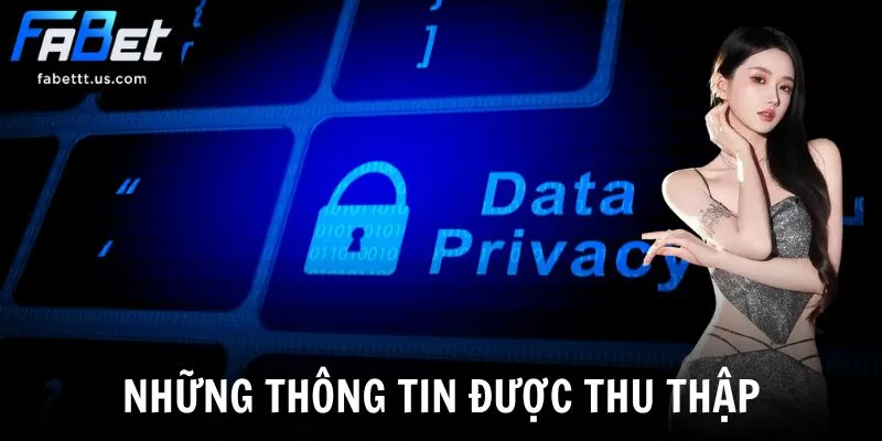 Những thông tin được thu thập